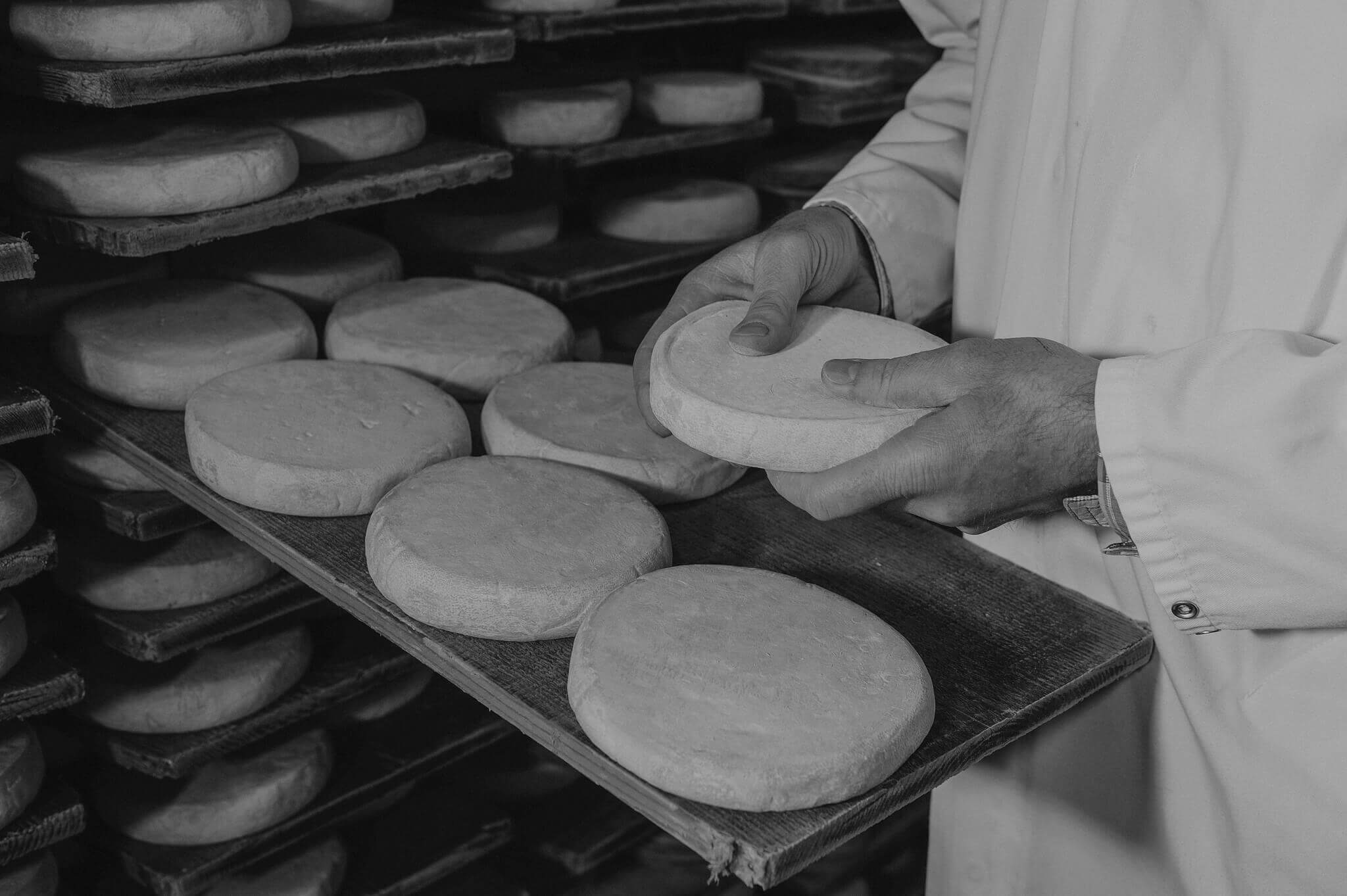 Le métier d'affineur de fromage : entre tradition et innovation